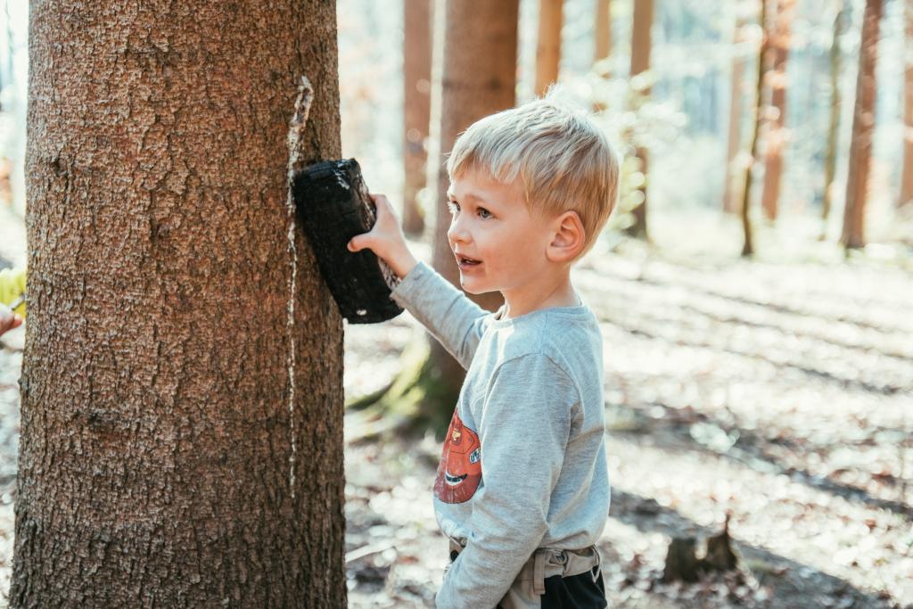 Cevi-Impressionen aus 2019