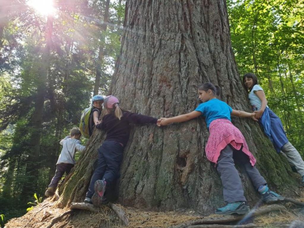 Gemeinschaft Baumumarmung