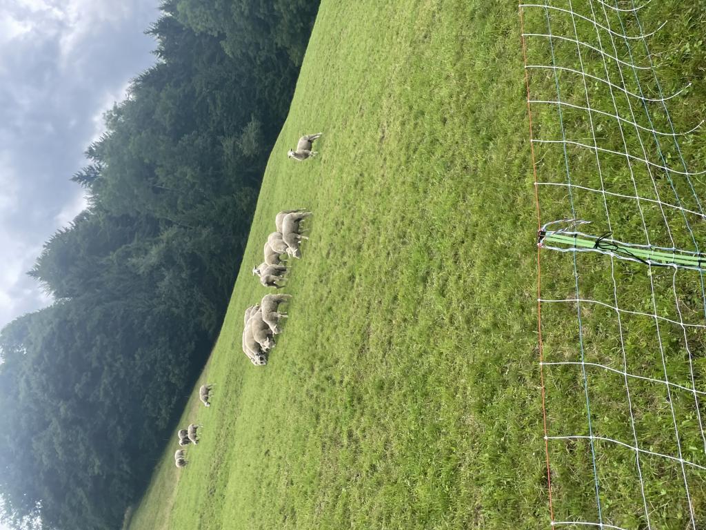 SoLa 2023 - Tag 4-6
