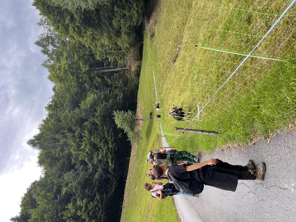 SoLa 2023 - Tag 4-6